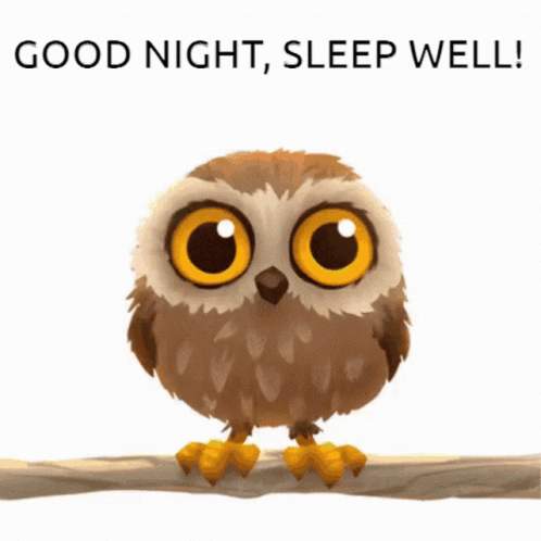 Good Night Owl GIF