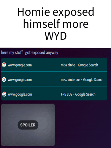 a screenshot of a web page that says homie exposed himself more wyd