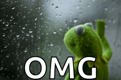 kermit the frog looking out a window with the word omg on the bottom right