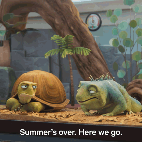 Summer'S Over Here We Go Leo GIF - Summer'S Over Here We Go Leo Squirtle GIFs