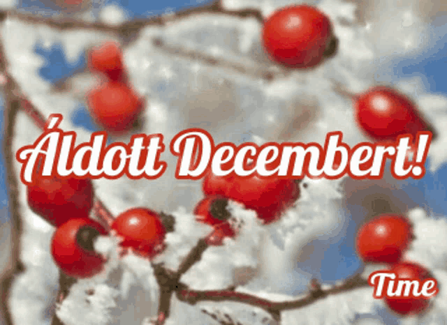 red berries on a snowy branch with the words aldott decembert time