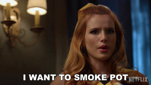 I Want To Smoke Pot Allison GIF - I Want To Smoke Pot Allison Bella Thorne GIFs