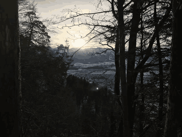 the sun shines through the trees in the mountains
