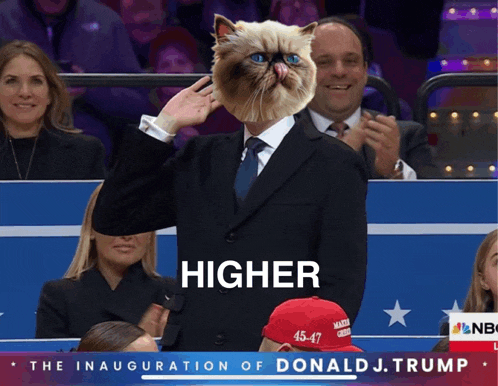 a man in a suit with a cat on his head and the words higher on the bottom