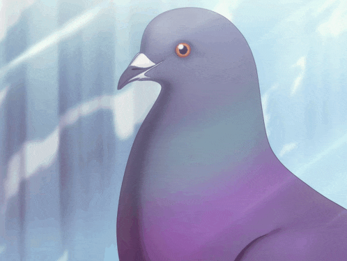 a close up of a pigeon 's head against a blue background