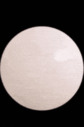 a black and white photo of a raccoon in a white circle