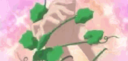 a close up of a plant with green leaves on a pink background