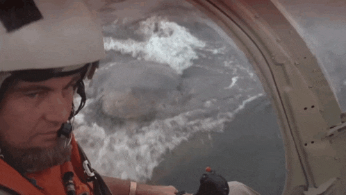 Bad Movies Rule Jaws 2 Movie GIF - Bad Movies Rule Jaws 2 Movie Shark Helicopter GIFs