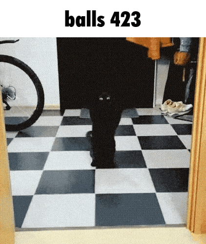 a black cat is standing on a checkered floor with the words balls 422 above it .