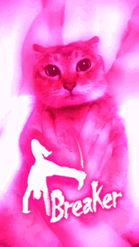 a cat with a pink background and the word breaker on it