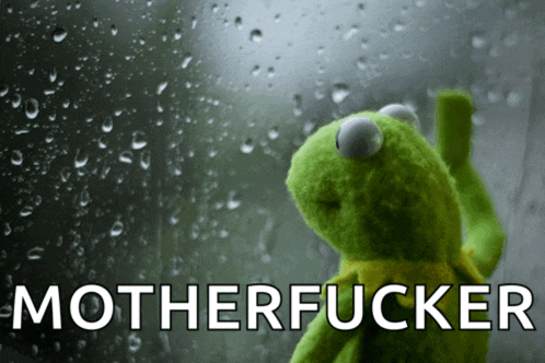 a kermit the frog is standing in front of a window with rain drops and the words motherfucker above him