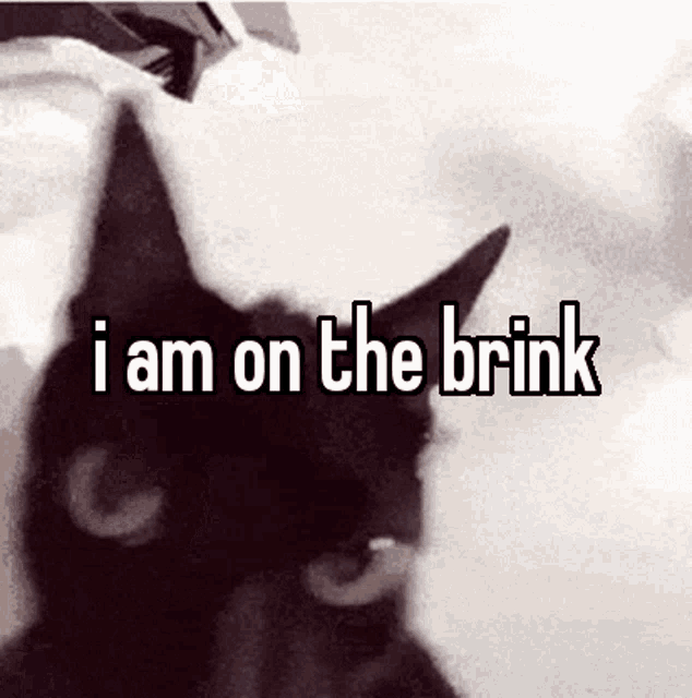 Cat I Am On The Brink GIF - Cat I Am On The Brink Meme GIFs