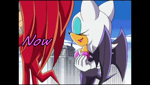 a cartoon drawing of rouge the bat and knuckles with the word now below them