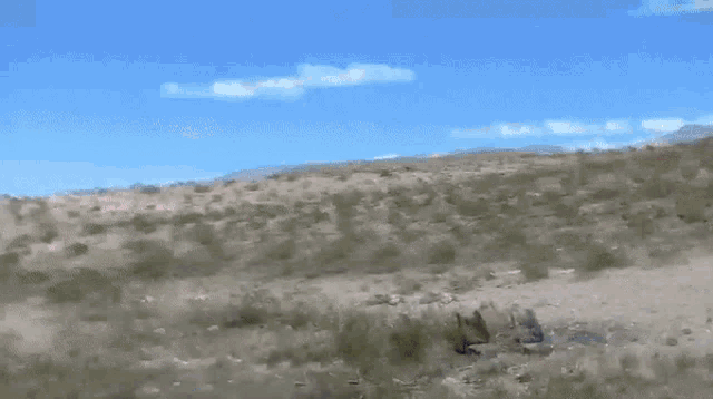a man holding a shotgun in a field with a blue sky in the background