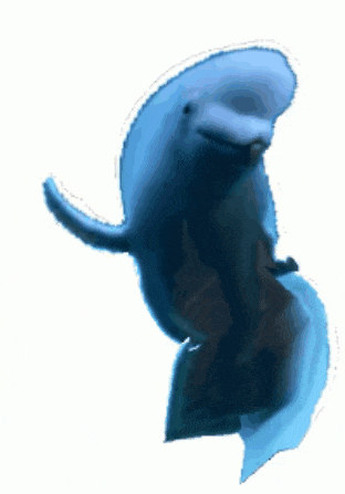 a blue dolphin is swimming in the water and looking at the camera