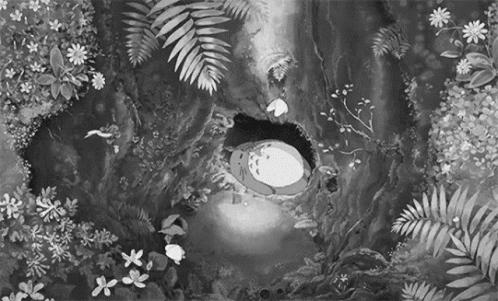 Black And White Butterflies GIF - Black And White Butterflies Flowers GIFs