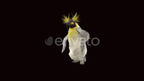 Dancing Penguin GIF - Dancing Penguin GIFs