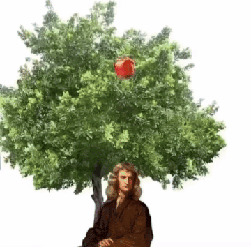 a man standing under a tree with an apple hanging from it