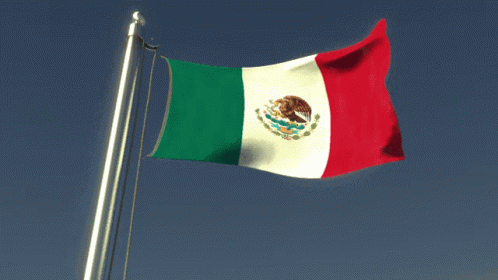 Mexico Flag GIF - Mexico Flag Flag Waver GIFs