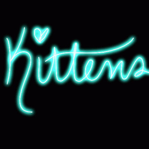 Kitten Kittens GIF - Kitten Kittens Text GIFs