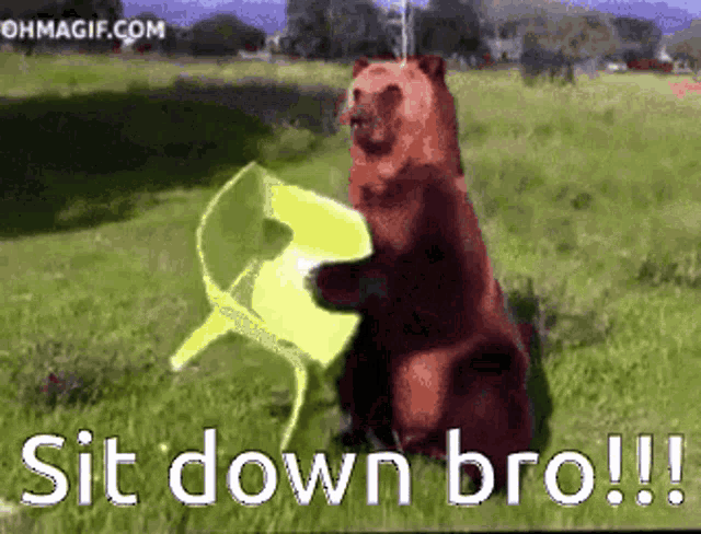a picture of a bear holding a chair with the words sit down bro written on it