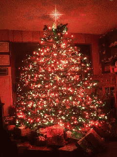 a christmas tree is lit up in a dark room