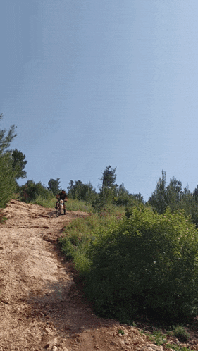 a person riding a bike down a dirt path in the woods