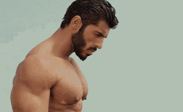 a shirtless man with a beard is standing on a beach