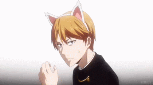 Miyuki Shirogane GIF - Miyuki Shirogane Cat GIFs
