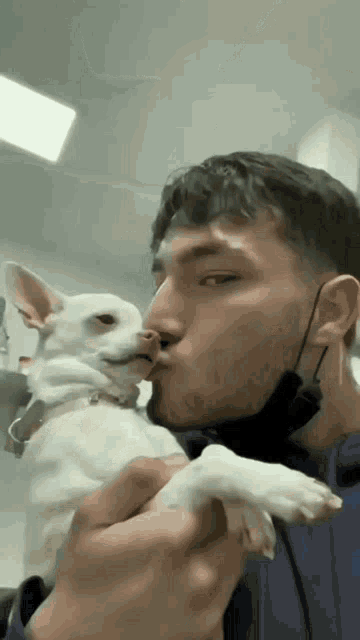 Diolga Dog GIF - Diolga Dog Kiss GIFs