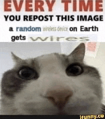 every time you repost this image of a random wireless device on earth gets wires .