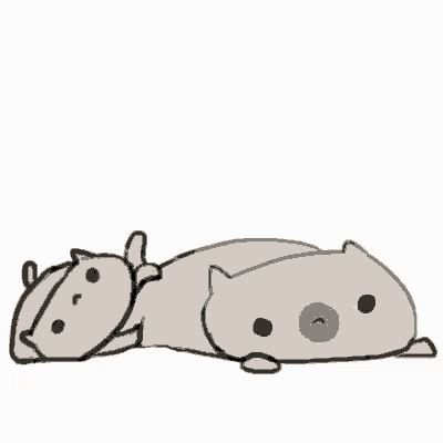 Cat Kitten GIF