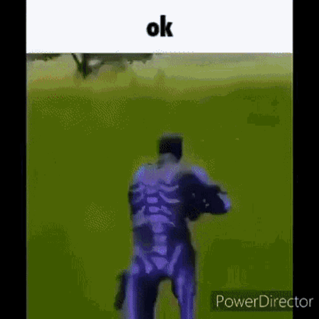 a skeleton in a purple suit is standing in a field with a gun and says ok .