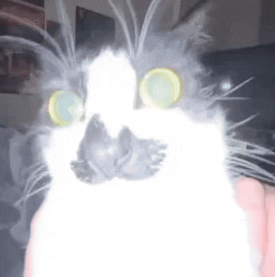 a close up of a cat 's face with glowing eyes being held by a person .