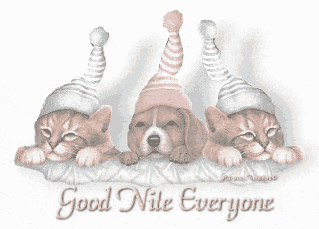 a picture of three cats and a dog with the words " good nite everyone " on the bottom