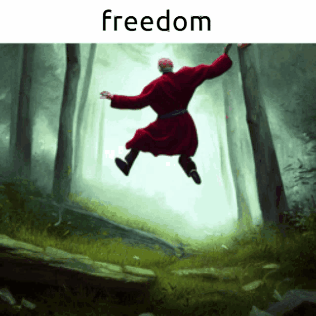 a man in a red robe is jumping in the air with the word freedom underneath him