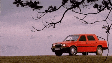 a red car is parked on a grassy hill with a tree branch hanging over it