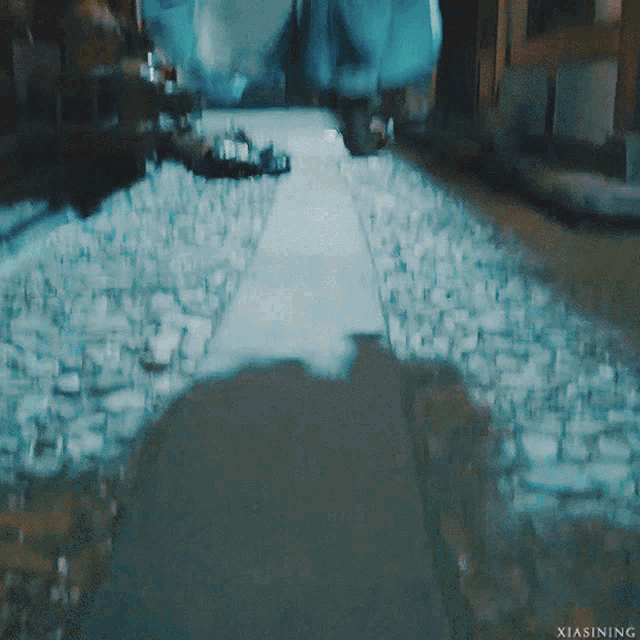 a blurry picture of a person walking down a path with the name xiasining on the bottom right