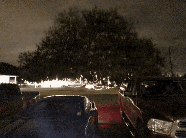 a row of cars are parked in front of a tree with christmas lights on it
