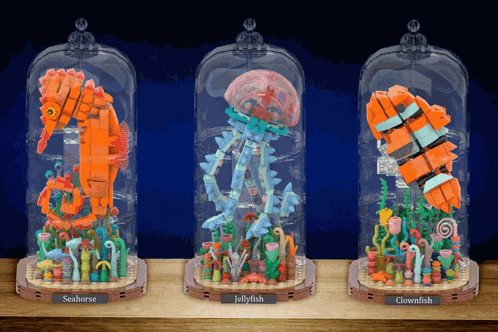 seahorse jellyfish and clownfish are displayed in glass domes
