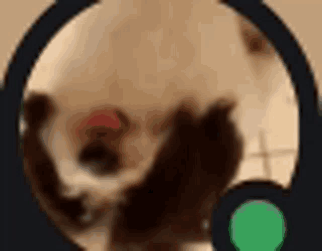 a close up of a dog 's face with a green circle in the middle .