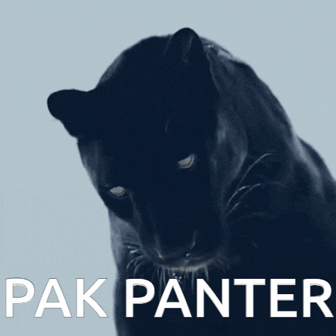 a picture of a black panther with the words pak panter behind it