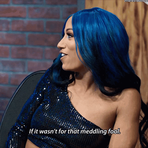 Sasha Banks If It Wasnt For That Meddling Fool GIF - Sasha Banks If It Wasnt For That Meddling Fool Ric Flair GIFs