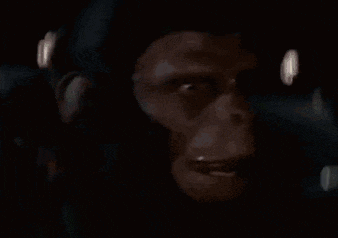 a close up of a monkey 's face in the dark with a blurred background .
