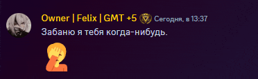 a screenshot of a chat with felix and owner