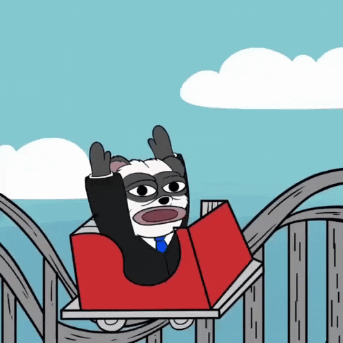 a cartoon of a raccoon riding a roller coaster reading a book