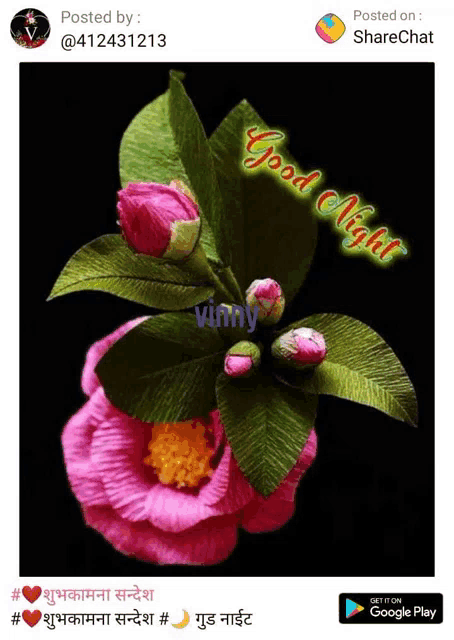 a picture of a pink flower with a good night message