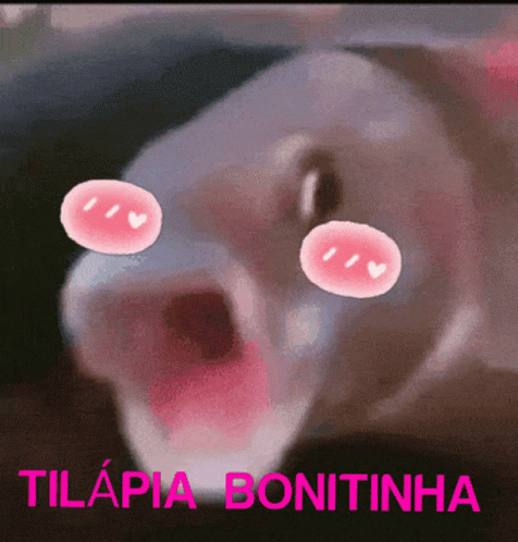 Bonitinha Tilapia GIF
