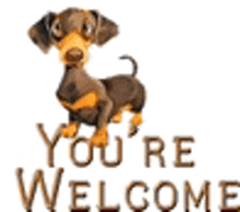 Welcome Doggie GIF - Welcome Doggie GIFs