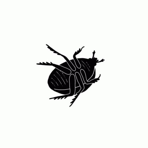 Beetle Stuck GIF - Beetle Stuck Upside Down GIFs